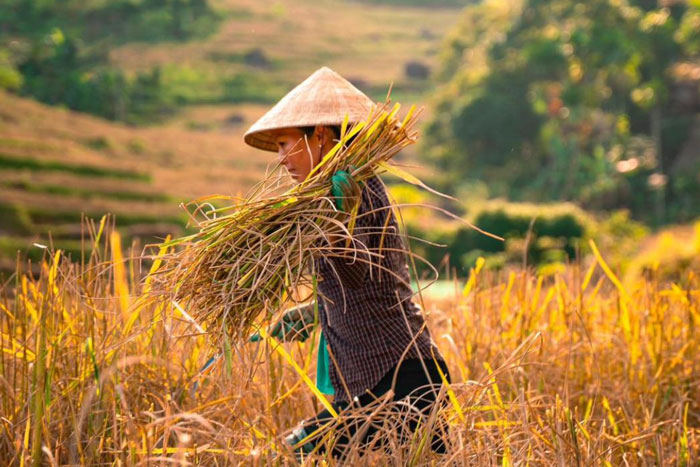 Pu Luong, Vietnam